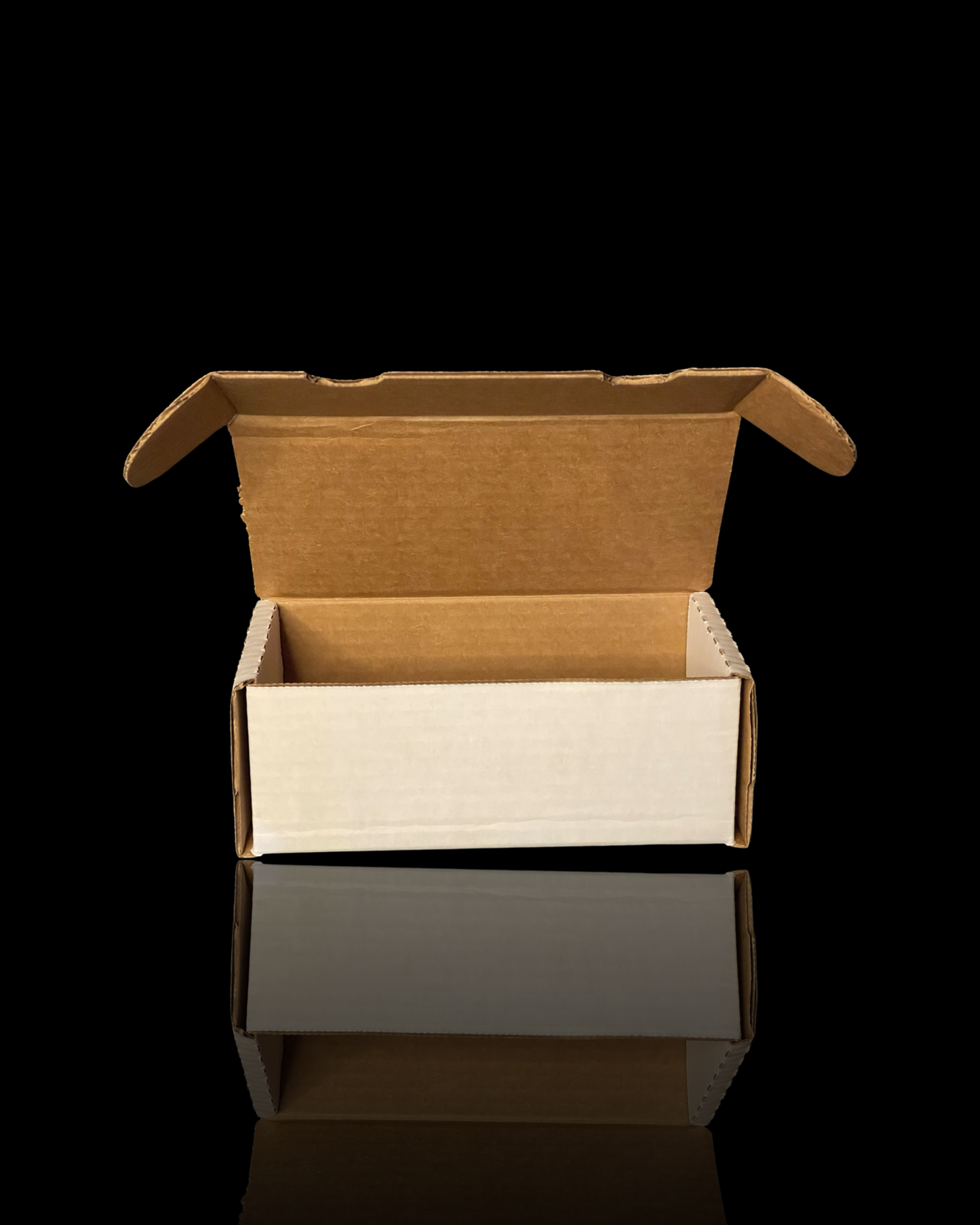 BCW: 400 Count Storage Box
